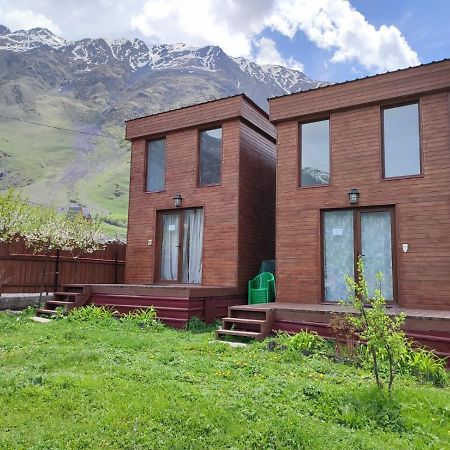 Twin Cottages Kazbegi מראה חיצוני תמונה