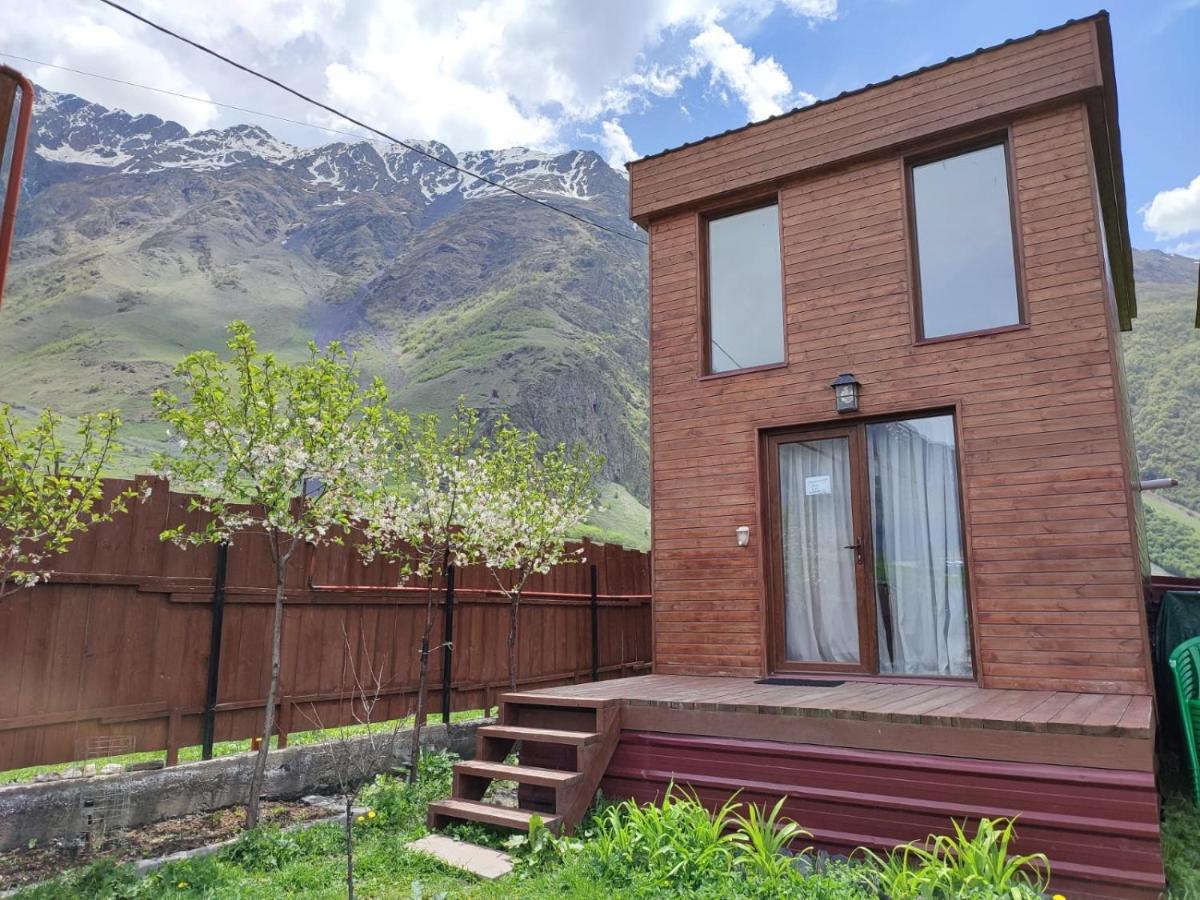 Twin Cottages Kazbegi מראה חיצוני תמונה